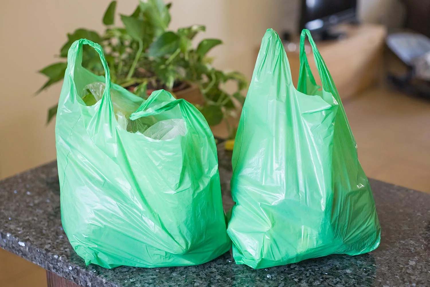 plastic bag green