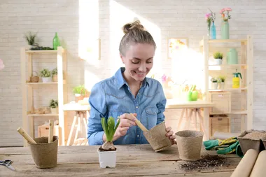 How to make your own plant fertiliser at home