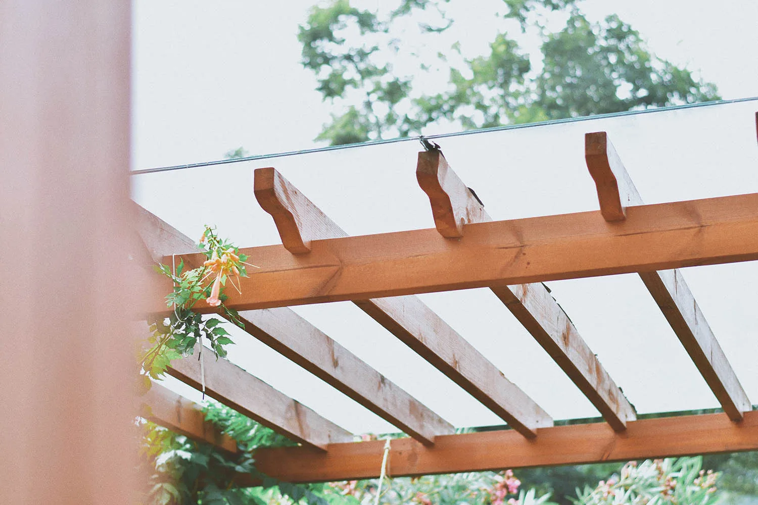 11 stunning pergola design ideas for your garden