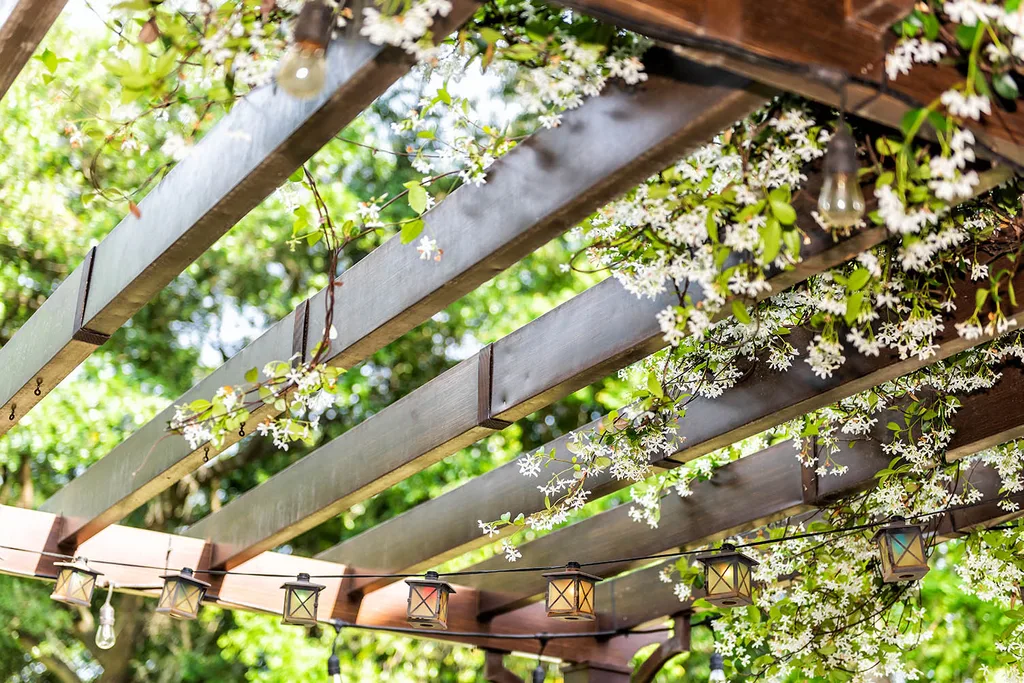 pergola with climbing flowers