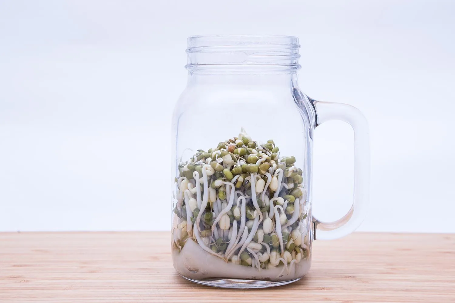 jar of sprouted beans