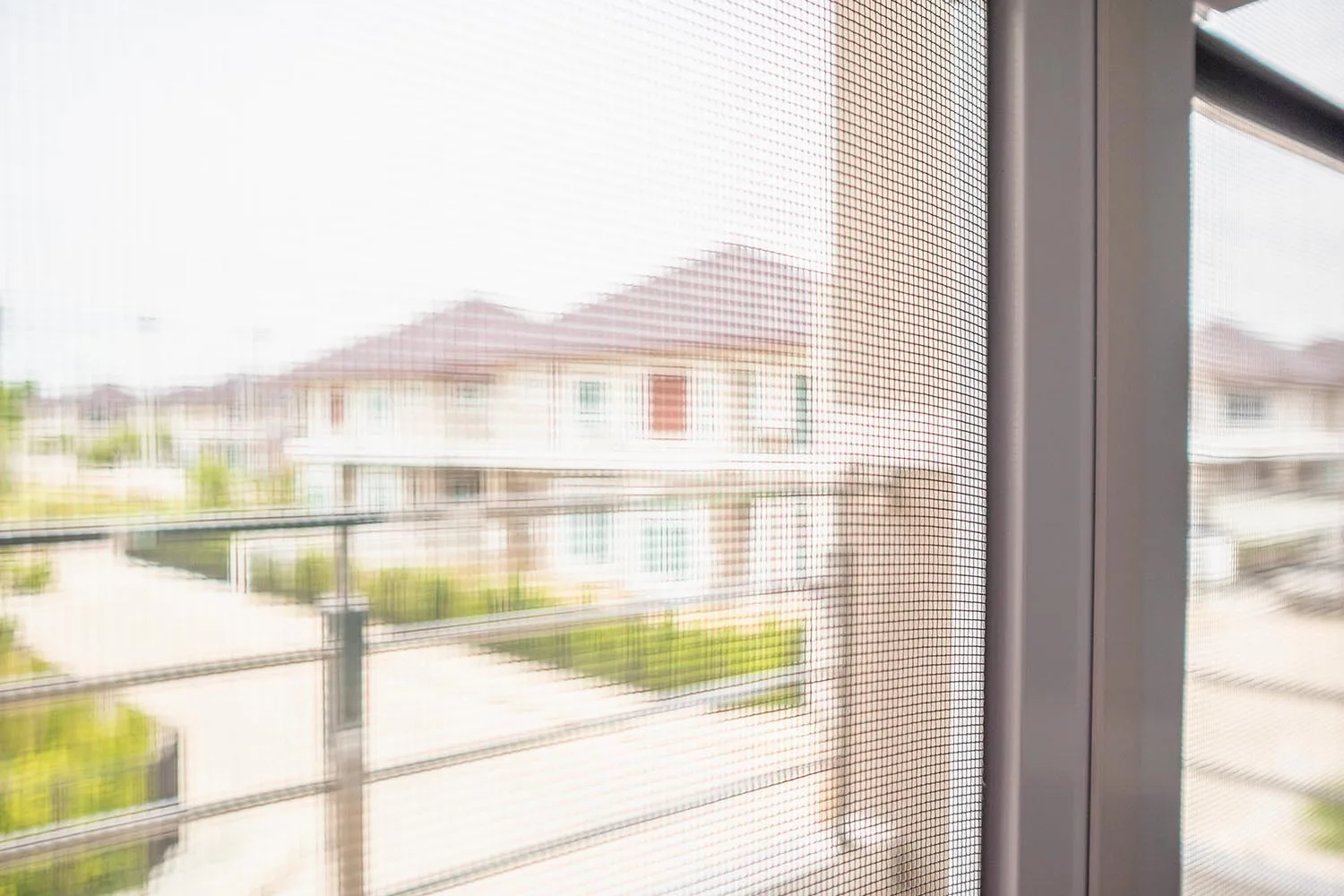 fly screen on window