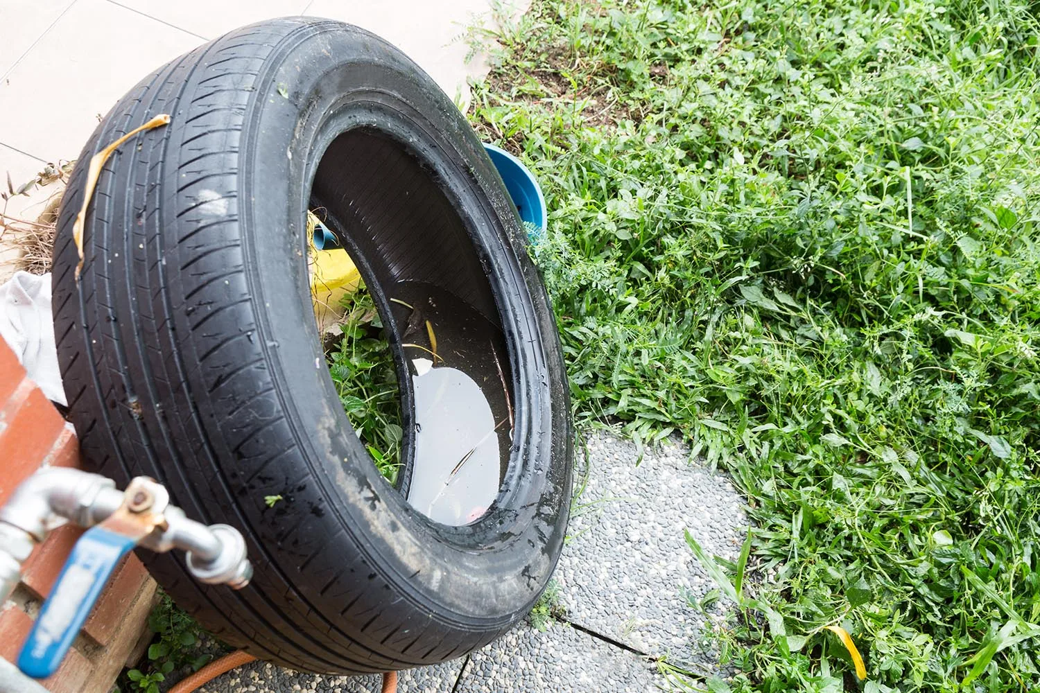 tyre filled with standing water