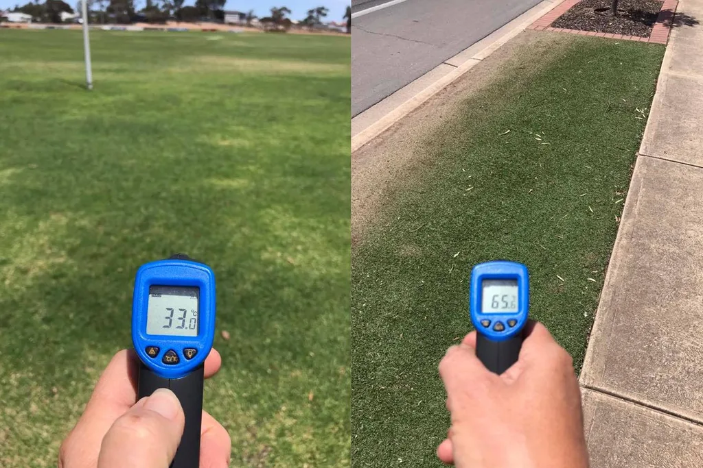 images of grass