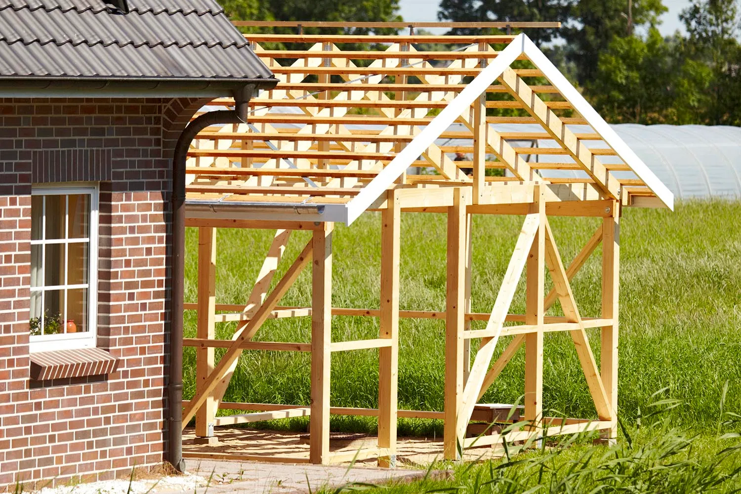 shed frame