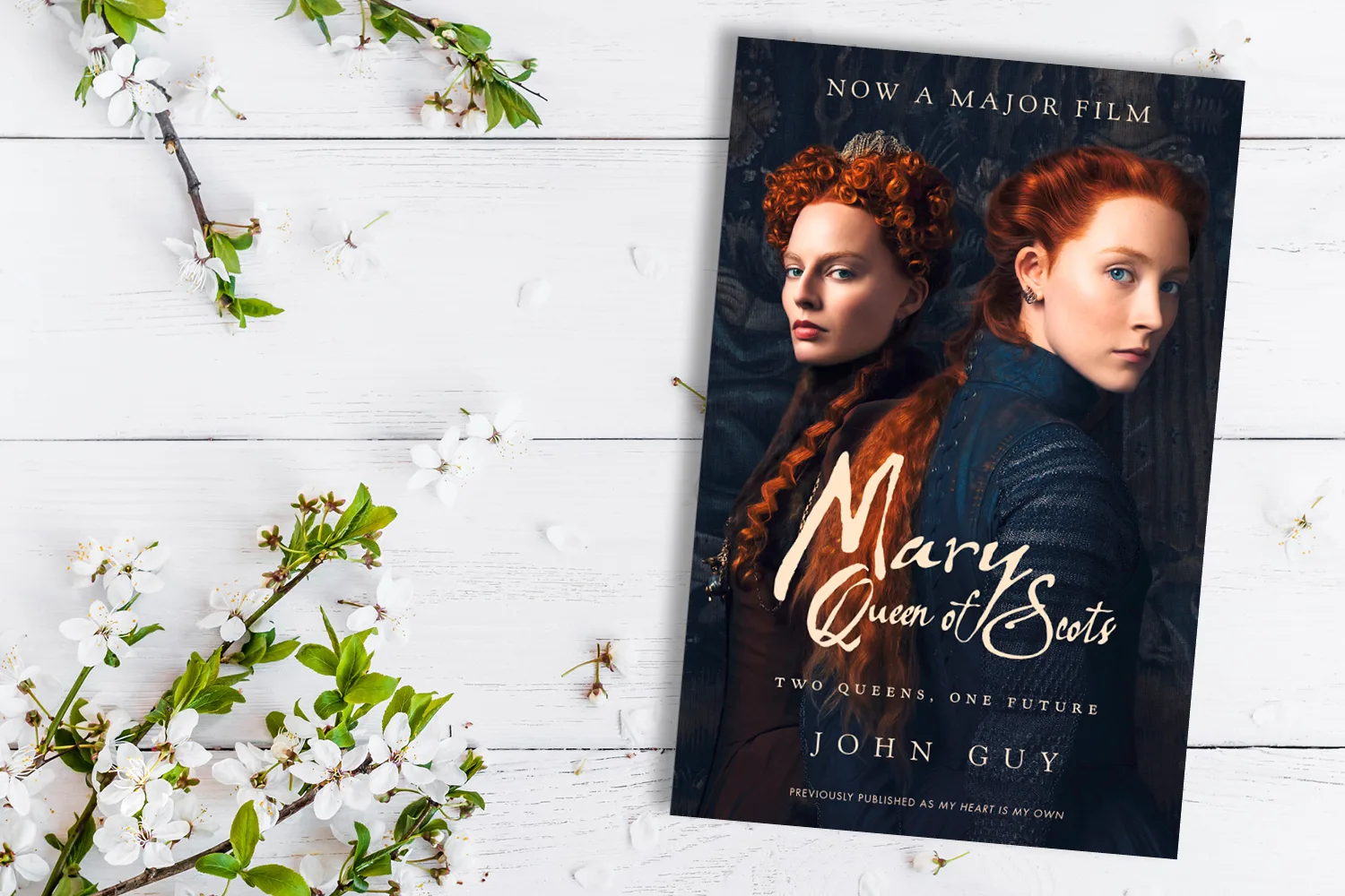 Mary Queen of Scots book cover