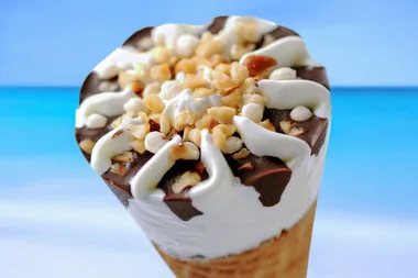 You can now get vegan Magnums, Cornettos and Weis Bars