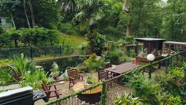 Pool to aquatic oasis