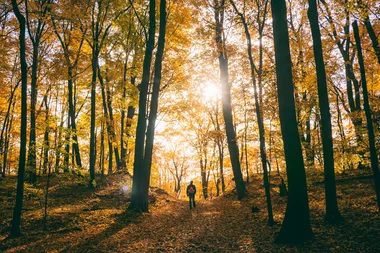 Science says that going for a hike is good for your brain