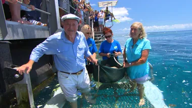 Great Barrier Reef: Cairns turtle rehab pt.2