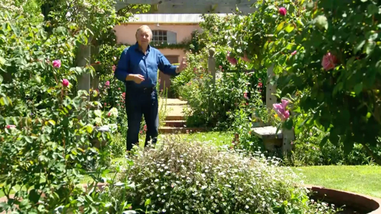 Picardy Garden, a French love affair