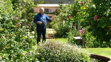 Picardy Garden, a French love affair