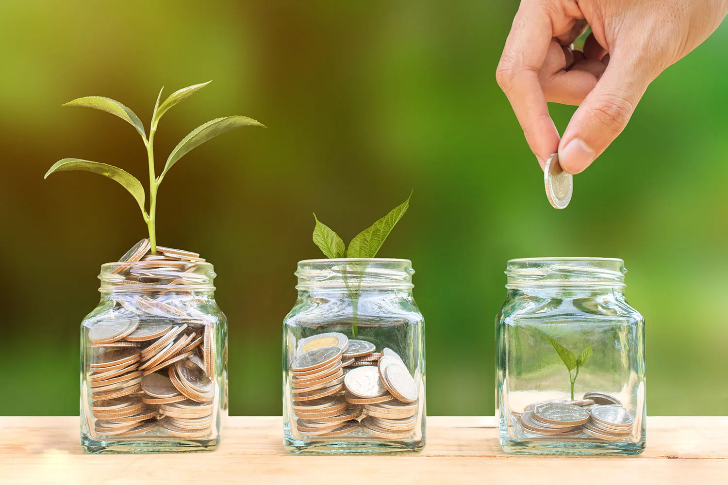 jar full of coins and seedlings