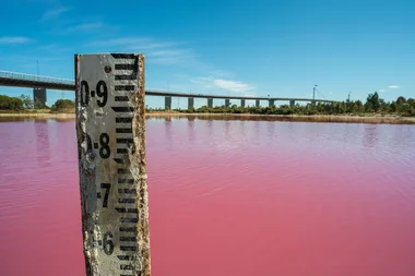 The pink lake in Melbourne that has to be seen to be believed