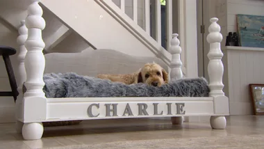 Upcycled dog bed