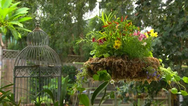 Herbal hanger