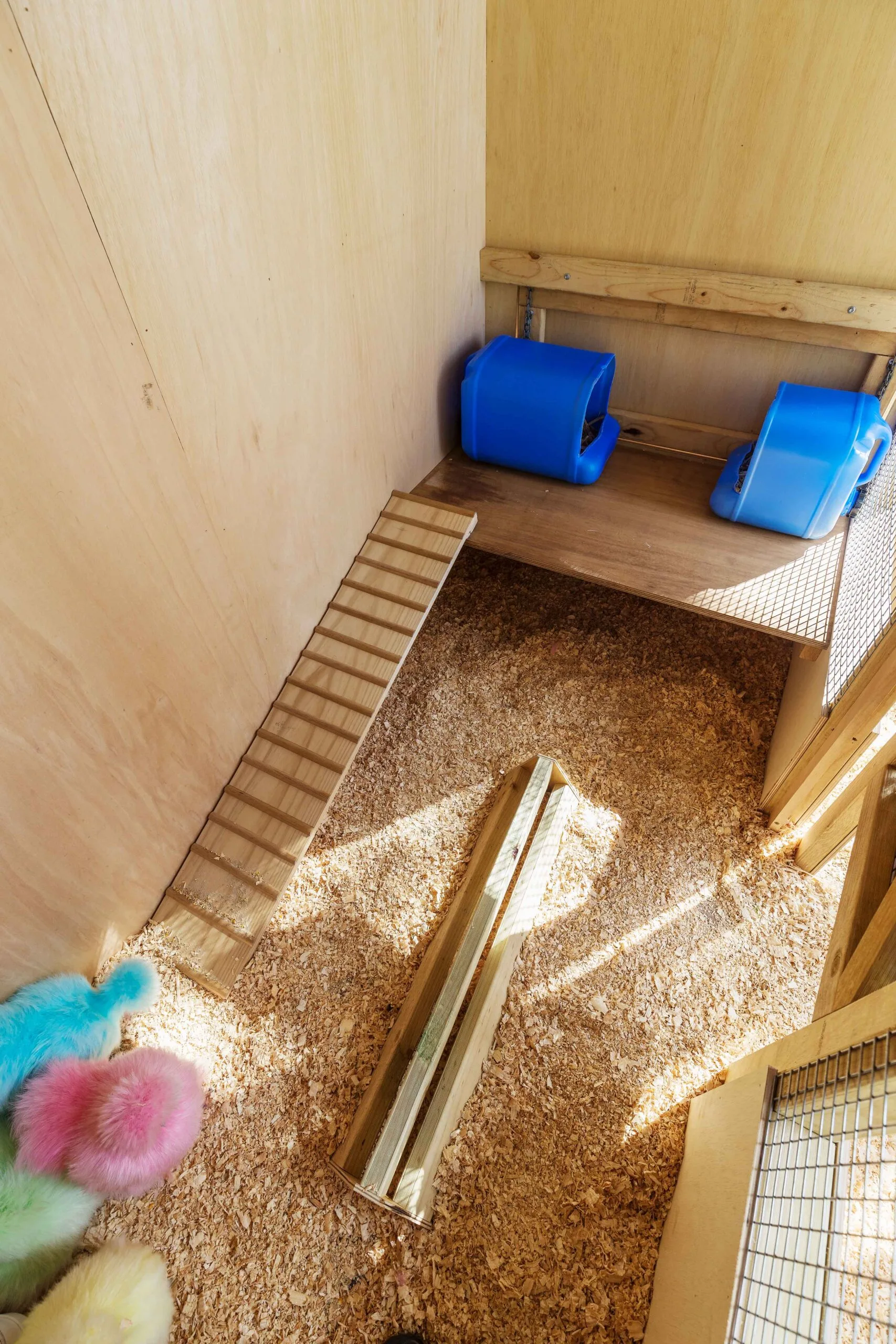 Interior of a chicken coop with ramp