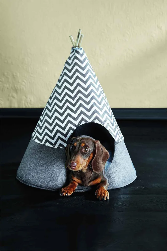 pet tee pee