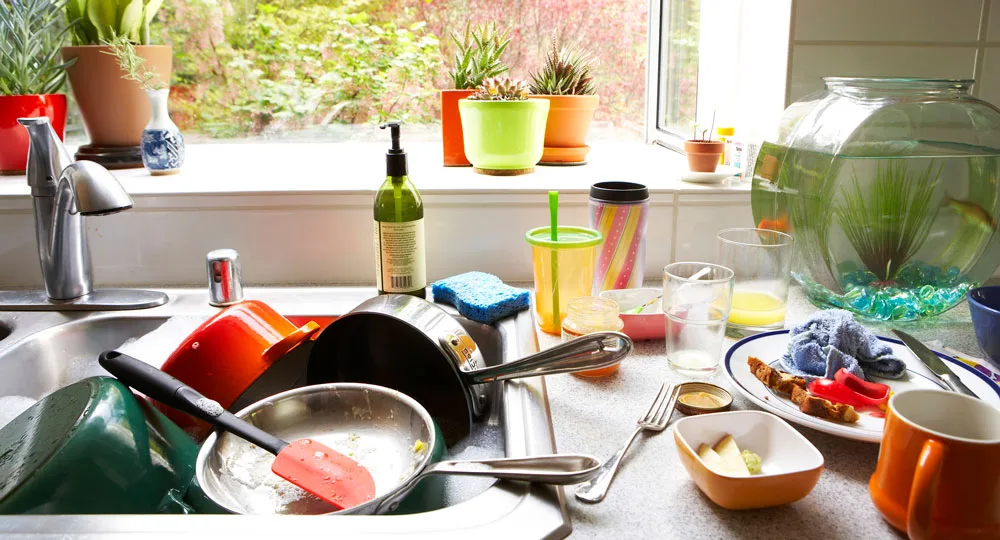 Five dirtiest household items that will surprise you