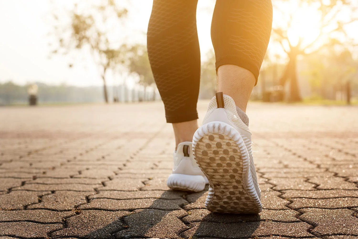 How many calories can I really burn while walking?