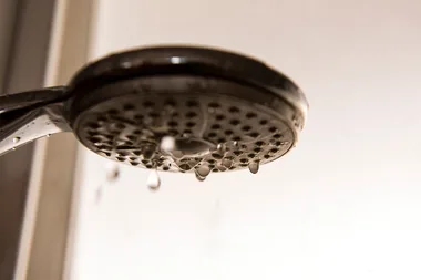 The deadly disease that could be lurking in your shower head