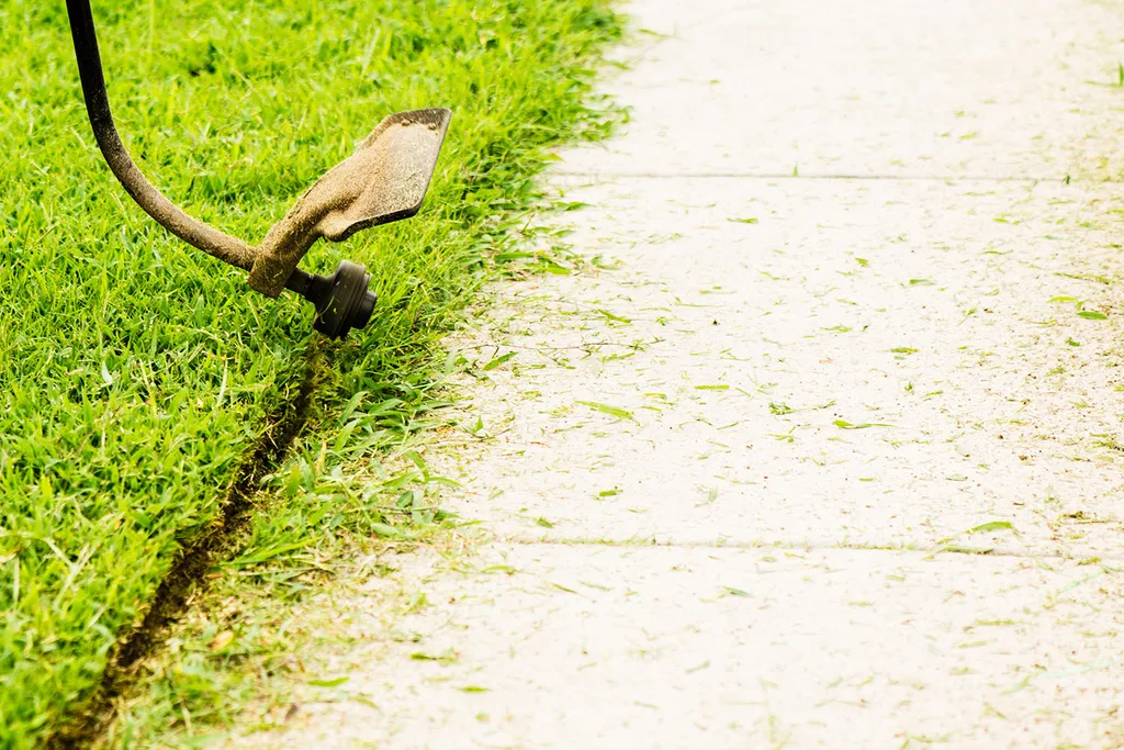 edging a lawn