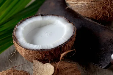 The 8 best alternatives to coconut milk