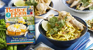 Lemon and ginger chicken skewers