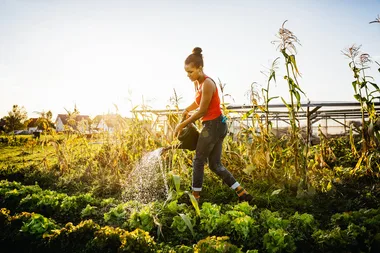Gardening is just as good for you as going to the gym