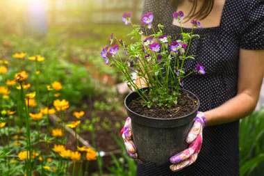 Your essential checklist for autumn gardening