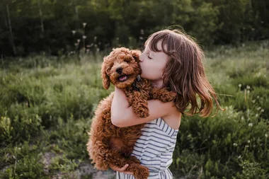 How to puppy proof your home, according to a vet