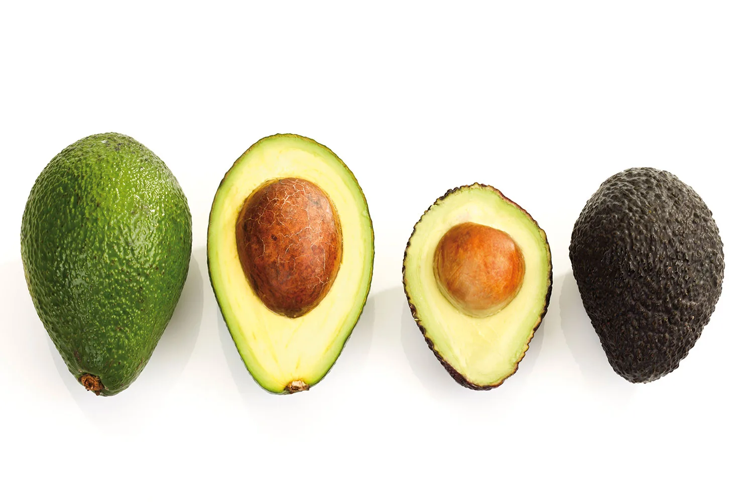 The great avocado debate