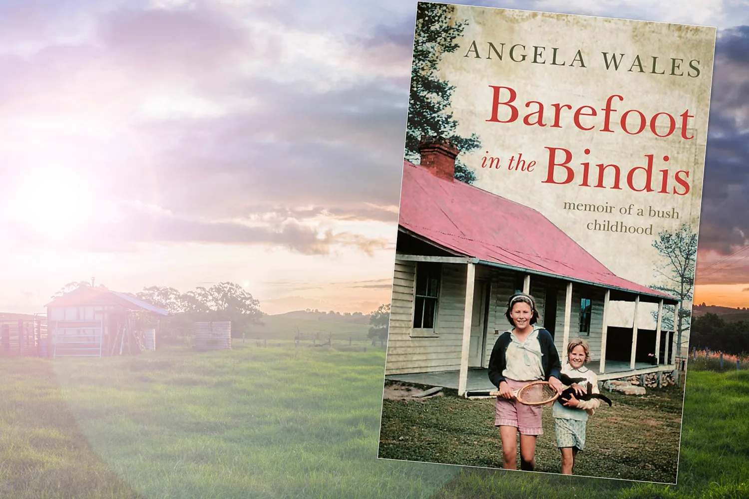 Cover of Barefoot in the Bindis by Angela Wales