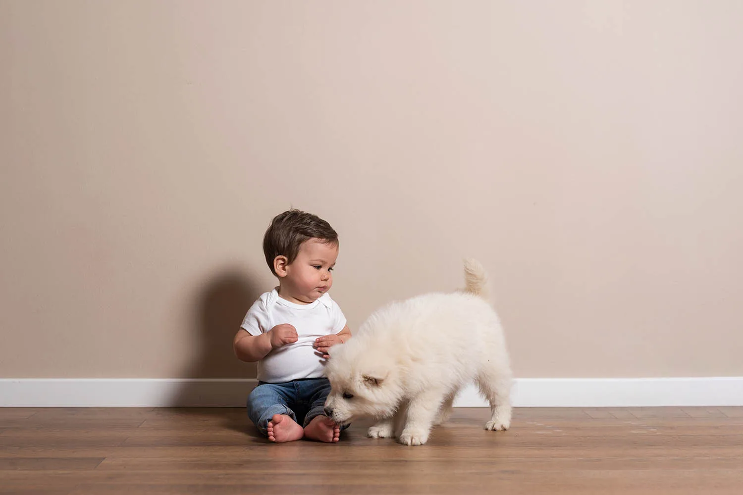 How to introduce a new puppy to kids and other pets