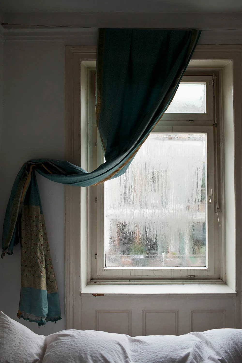 damp window