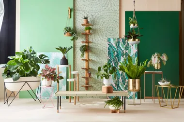 How to decorate a room with green
