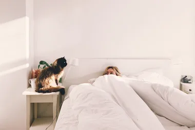 Study finds cats recognise their names, but ignore you anyway