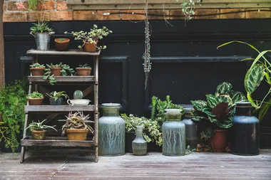 How to style up a small garden and make it feel bigger