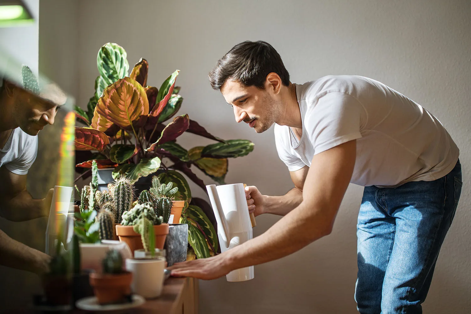man watering indoor plants