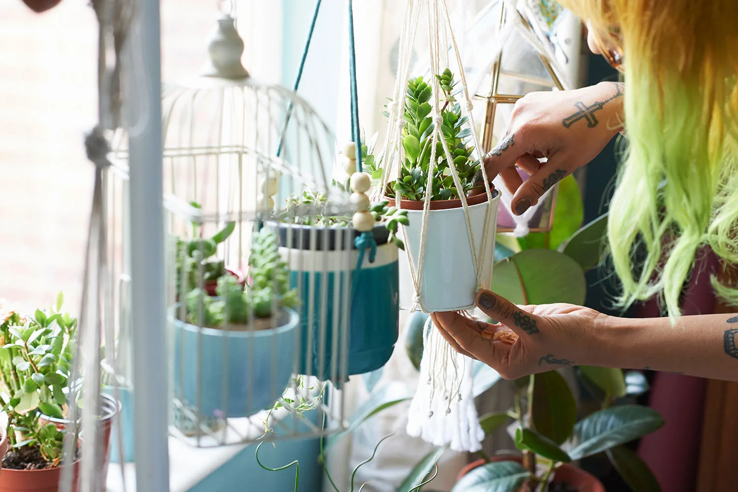 woman tending to indoor plants