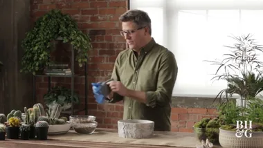 WATCH: Indoor Dish Gardens