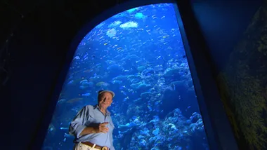 CAIRNS AQUARIUM