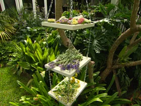 5 steps to DIY a herb and flower drying rack