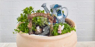 Watering Can Fairy Home Kit