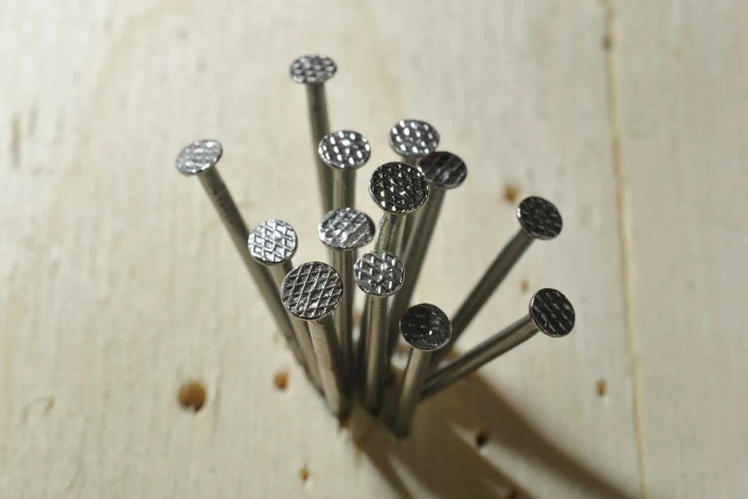 Flat head nails