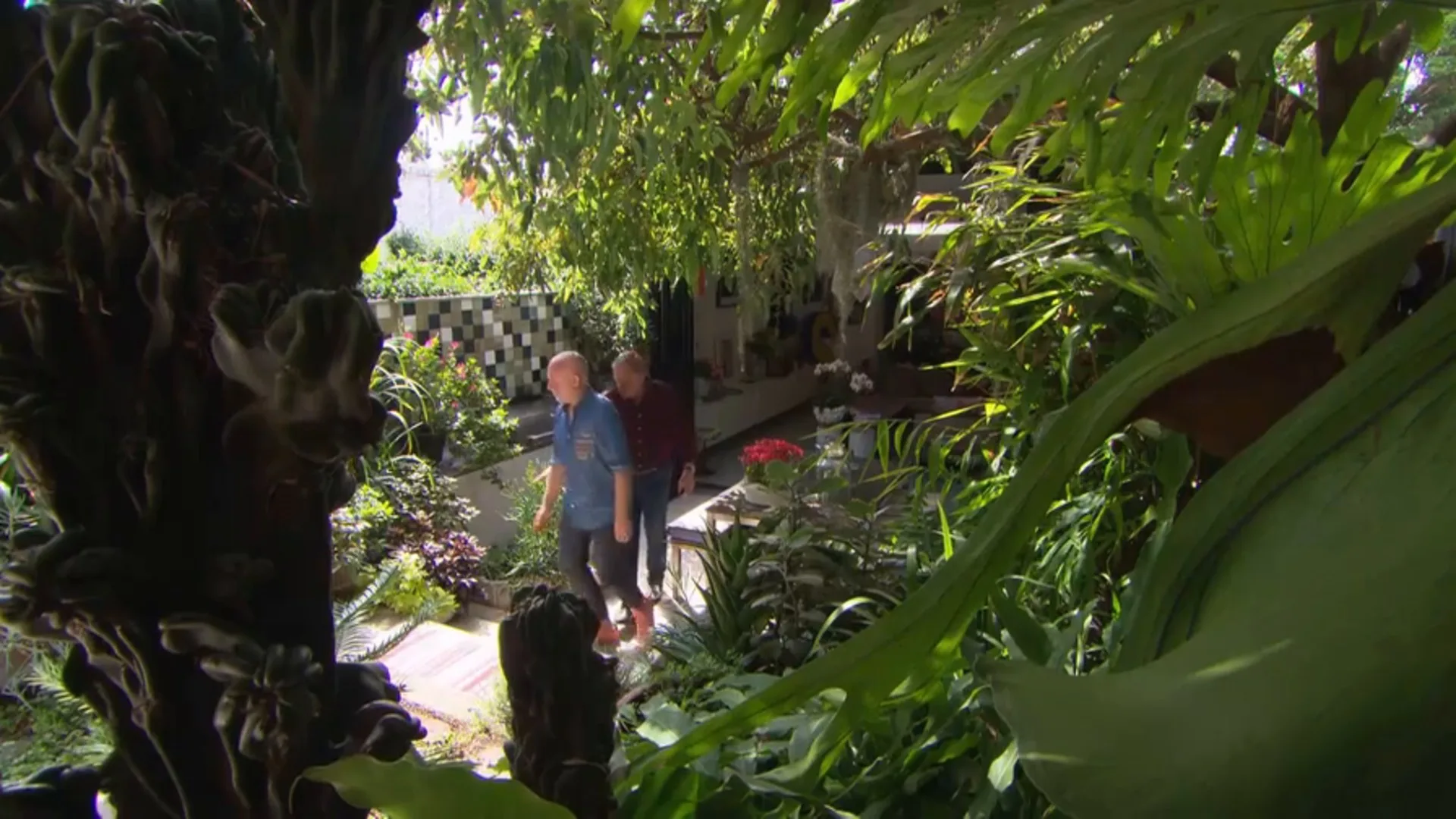 GRAHAM – FLORIST GARDEN