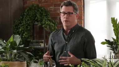 Decorating With Houseplants
