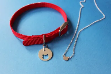 You can now buy friendship necklaces to share with your pets