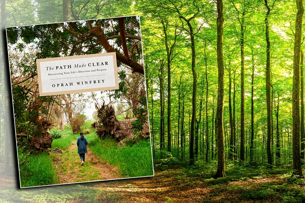 Book cover of The Path Made Clear by Oprah Winfrey
