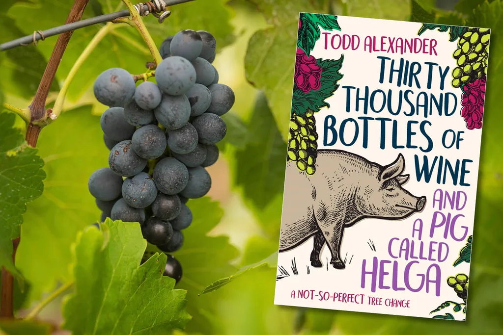 Book cover of Thirty Thousand Bottles of Wine and a Pig Called Helga by Todd Alexander